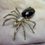Spider Silver Brooch - penelope-it.com